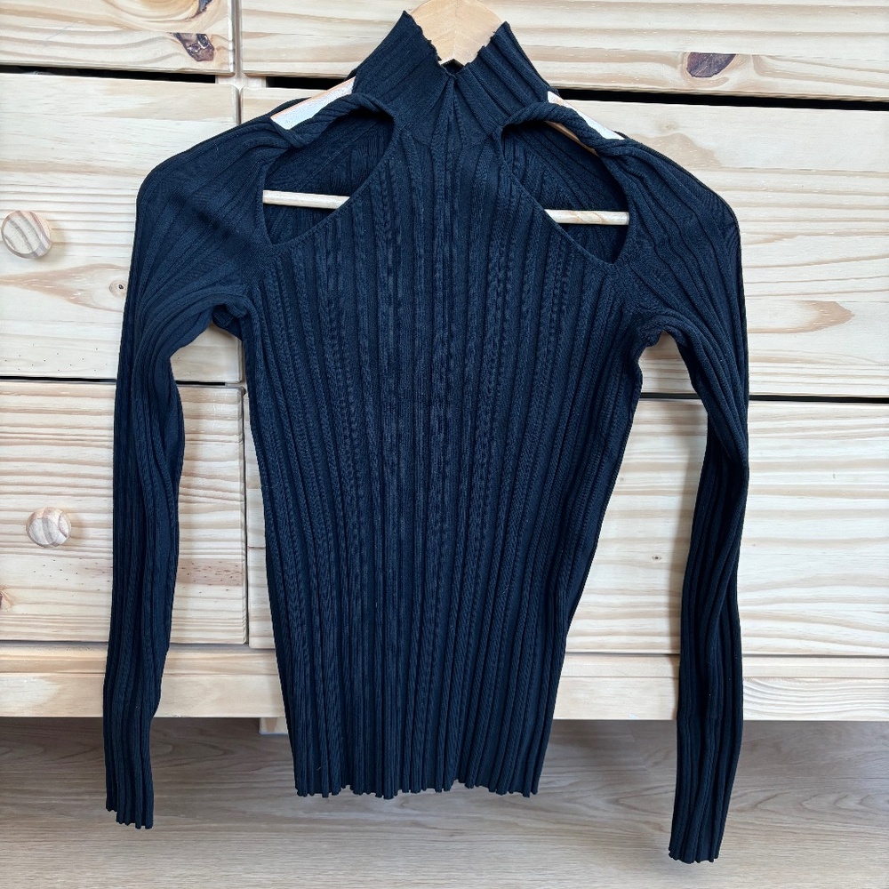 dion lee turtleneck w/ cutouts